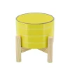 Flash Sale 😍 Kingston Living 6" Yellow Ceramic Striped Decorative Planter with Stand ⭐