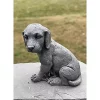 Flash Sale 👏 Kingston Living 14" Fossil Gray Sitting Puppy Garden Statue ⌛