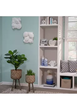 Budget 🤩 Kingston Living Set of 2 White Solid Sea Shell Wall Decor 14" 💯 -Kingston Living Shop Belk 744